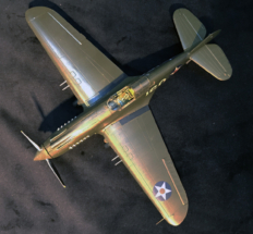 P-40B Warhawk Finished 002