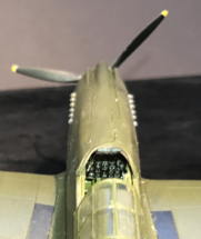 P-40B Warhawk Finished 006
